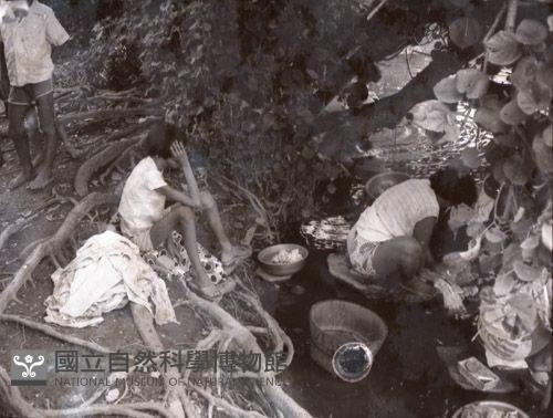 1950至2006年臺灣常民生活藏品圖，第1張
