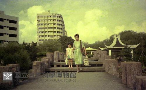 1950至2006年臺灣常民生活藏品圖，第1張