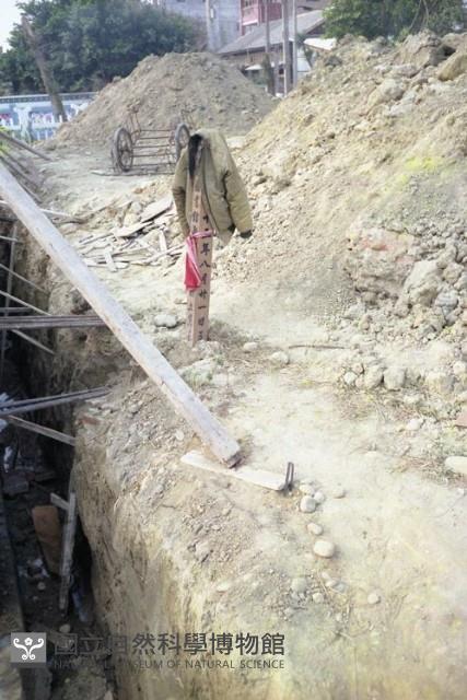 1950至2006年臺灣常民生活藏品圖，第1張