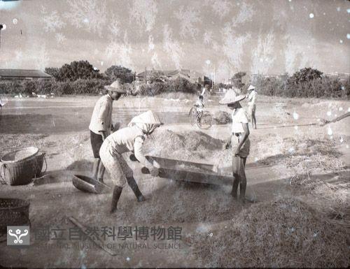 1950至2006年臺灣常民生活藏品圖，第1張