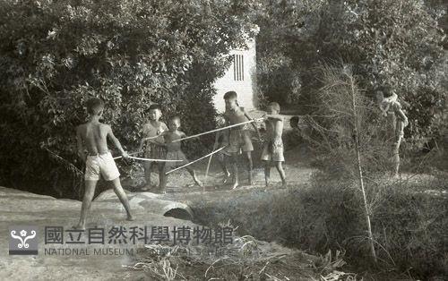 1950至2006年臺灣常民生活藏品圖，第1張