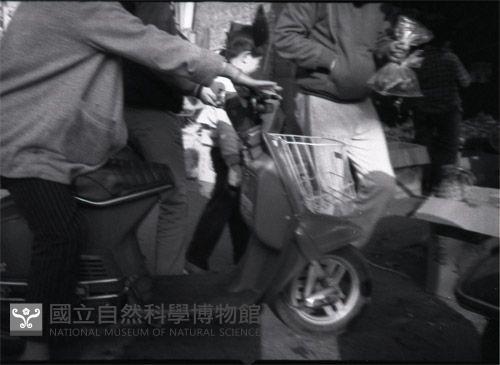 1950至2006年臺灣常民生活藏品圖，第1張