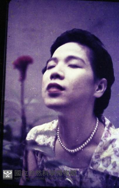 1950至2006年臺灣常民生活藏品圖，第1張