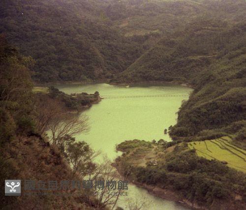 1950至2006年臺灣常民生活藏品圖，第1張