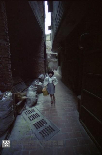 1950至2006年臺灣常民生活藏品圖，第1張