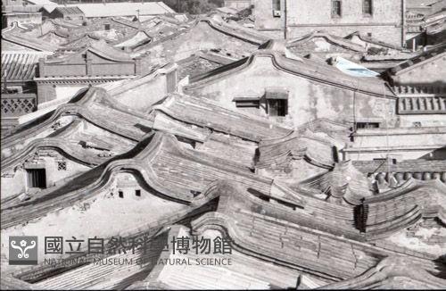 1950至2006年台灣常民生活藏品圖，第1張