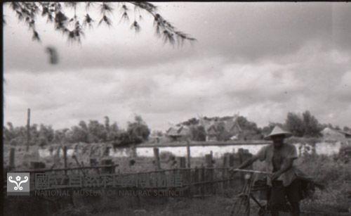 1950至2006年臺灣常民生活藏品圖，第1張