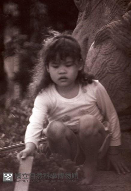 1950至2006年臺灣常民生活藏品圖，第1張
