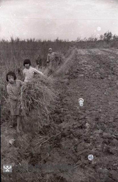 1950至2006年臺灣常民生活藏品圖，第1張