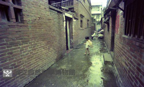 1950至2006年臺灣常民生活藏品圖，第1張