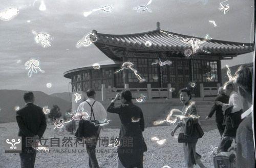 1950至2006年臺灣常民生活藏品圖，第1張