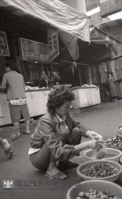 1950至2006年臺灣常民生活藏品圖，第1張
