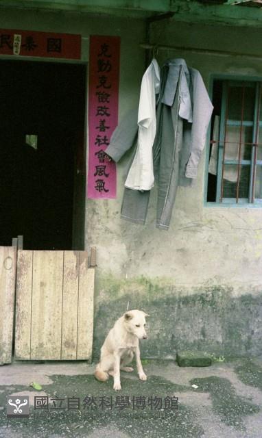 1950至2006年臺灣常民生活藏品圖，第1張