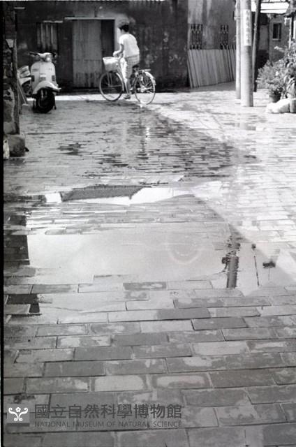 1950至2006年臺灣常民生活藏品圖，第1張