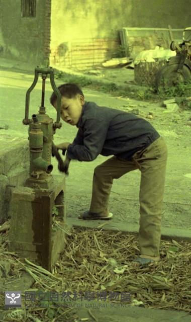 1950至2006年臺灣常民生活藏品圖，第1張