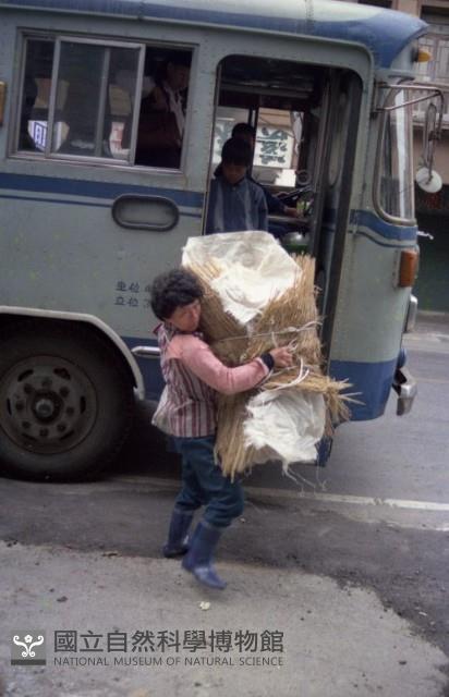 1950至2006年臺灣常民生活藏品圖，第1張