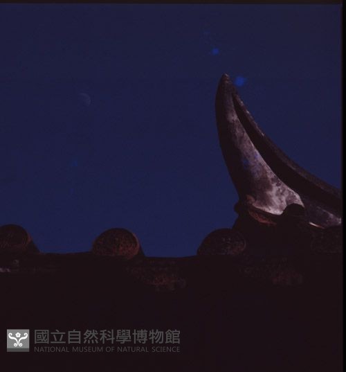 1950至2006年臺灣常民生活藏品圖，第1張