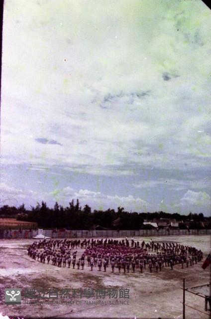 1950至2006年臺灣常民生活藏品圖，第1張