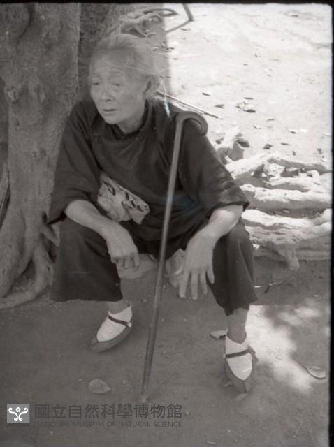 1950至2006年台灣常民生活藏品圖，第1張