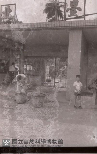 Accession Number:MP2007007225 Collection Image