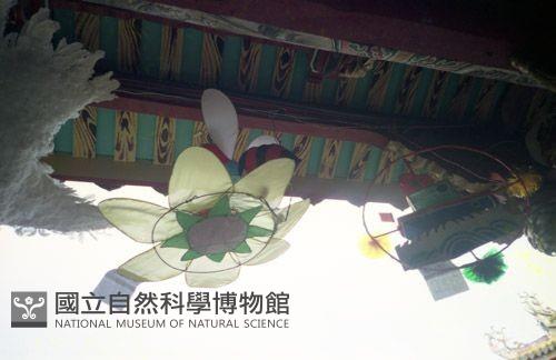 1950至2006年臺灣常民生活藏品圖，第1張