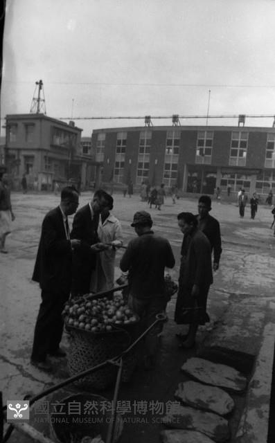 1950至2006年臺灣常民生活藏品圖，第1張