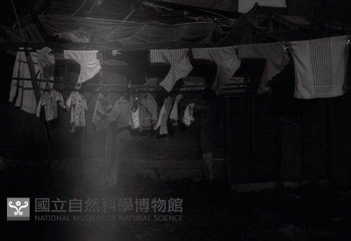 1950至2006年台灣常民生活(No:561)藏品圖，第1張