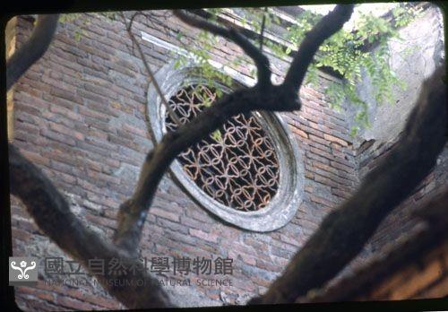 意樓（1950至2006年臺灣常民生活）藏品圖，第1張