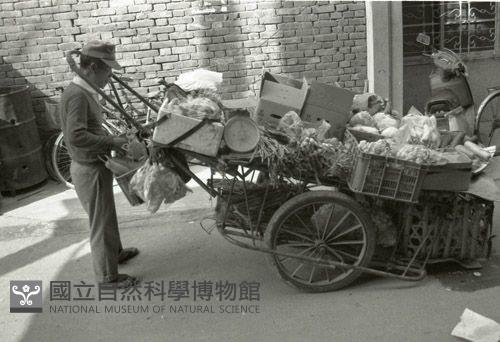 1950至2006年臺灣常民生活藏品圖，第1張