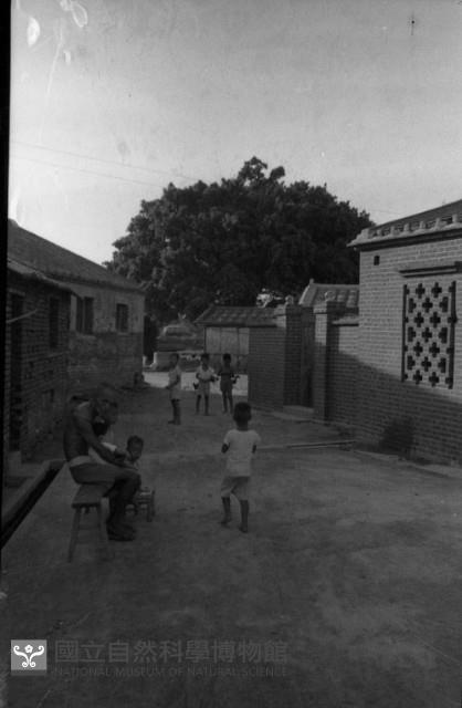 1950至2006年臺灣常民生活藏品圖，第1張