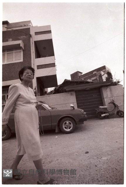 1950至2006年臺灣常民生活藏品圖，第1張