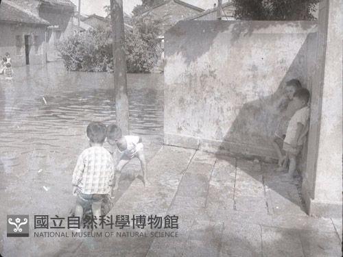 1950至2006年臺灣常民生活藏品圖，第1張