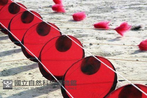 1950至2006年臺灣常民生活藏品圖，第1張