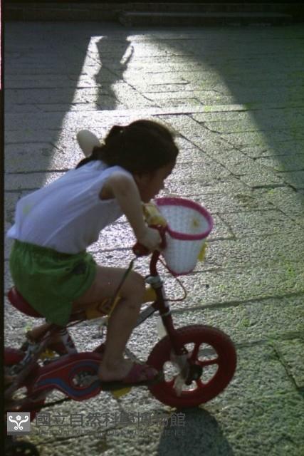 1950至2006年臺灣常民生活藏品圖，第1張