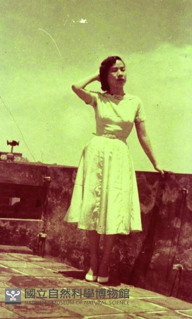 1950至2006年臺灣常民生活藏品圖，第1張