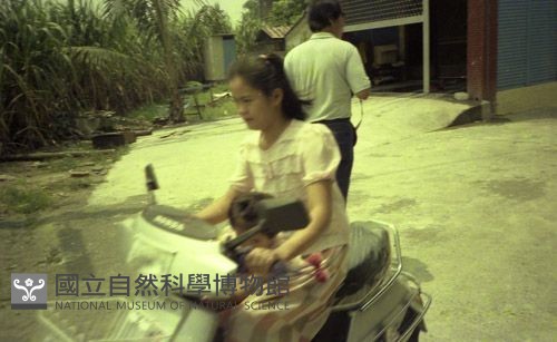 1950至2006年臺灣常民生活藏品圖，第1張