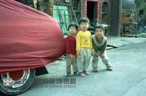 1950至2006年臺灣常民生活藏品圖，第1張