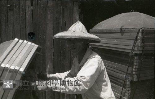 1950至2006年臺灣常民生活藏品圖，第1張