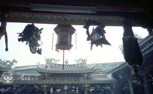 1950至2006年臺灣常民生活藏品圖，第1張