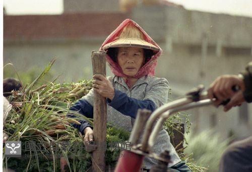 1950至2006年臺灣常民生活藏品圖，第1張