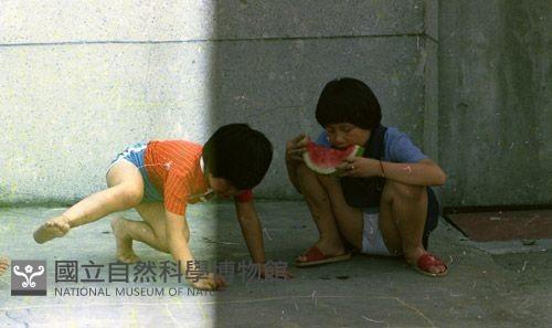 1950至2006年臺灣常民生活藏品圖，第1張