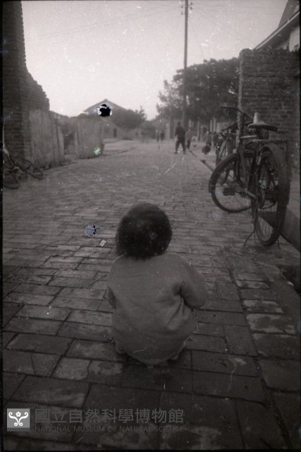 1950至2006年臺灣常民生活藏品圖，第1張