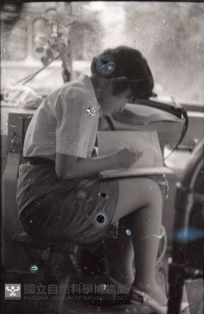 1950至2006年臺灣常民生活藏品圖，第1張