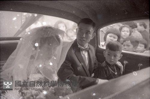1950至2006年台灣常民生活藏品圖，第1張