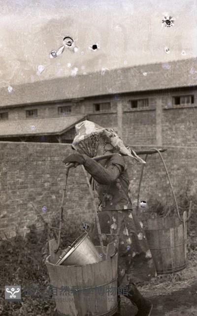 1950至2006年臺灣常民生活 藏品圖，第1張