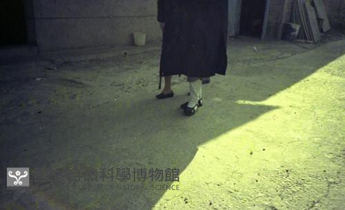 1950至2006年臺灣常民生活藏品圖，第1張