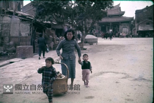 挑供品拜拜去（1950至2006年臺灣常民生活）藏品圖，第1張