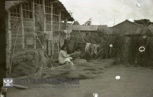 1950至2006年臺灣常民生活藏品圖，第1張