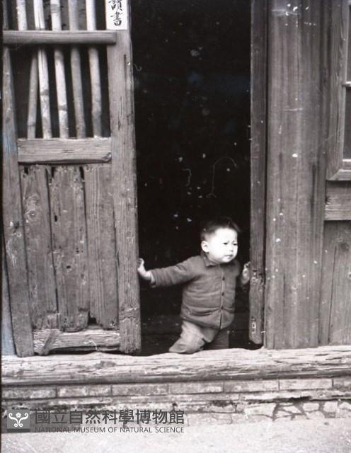 1950至2006年台灣常民生活藏品圖，第1張