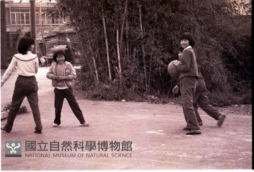 1950至2006年臺灣常民生活藏品圖，第1張